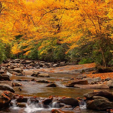 Peace, Serenity & Relaxation In The Smokies! Gatlinburg Zewnętrze zdjęcie