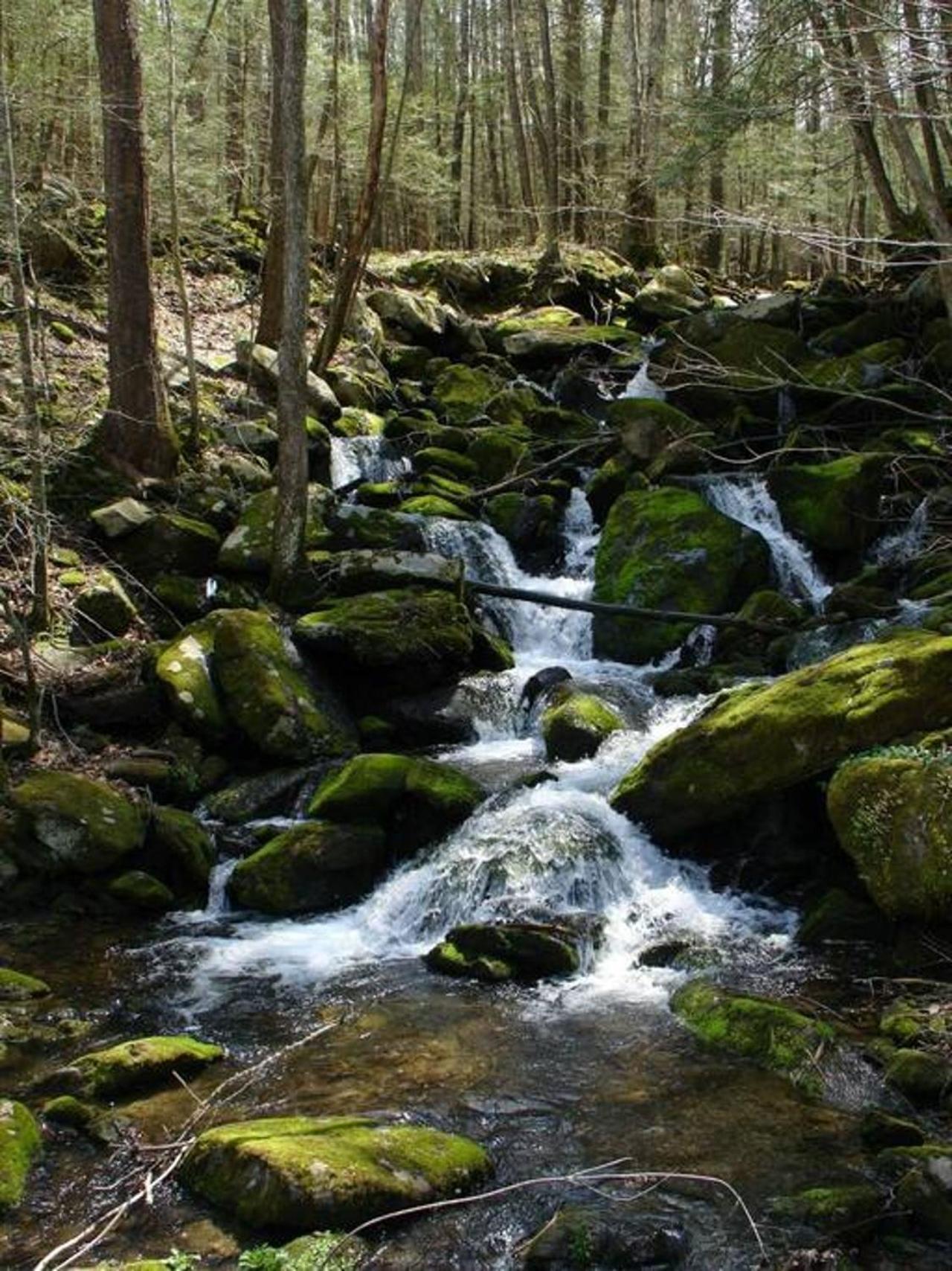 Peace, Serenity & Relaxation In The Smokies! Gatlinburg Zewnętrze zdjęcie