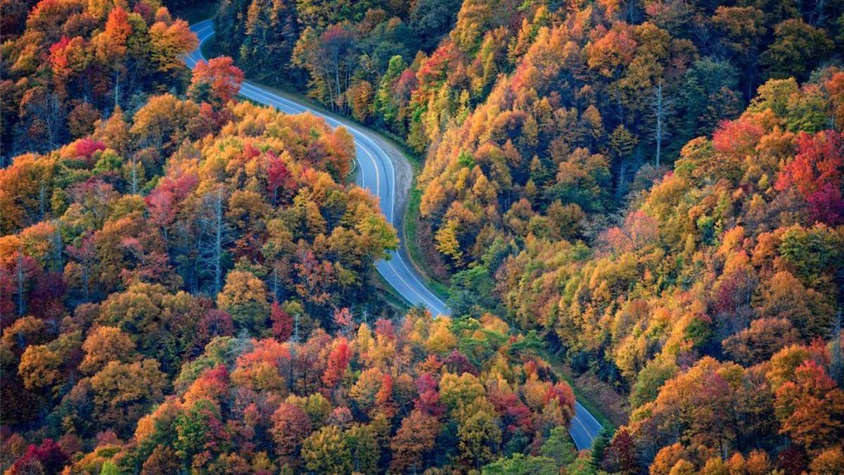 Peace, Serenity & Relaxation In The Smokies! Gatlinburg Zewnętrze zdjęcie