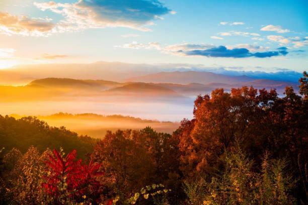 Peace, Serenity & Relaxation In The Smokies! Gatlinburg Zewnętrze zdjęcie