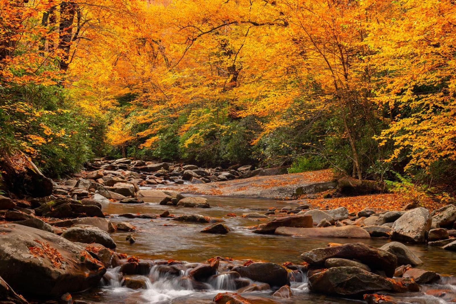 Peace, Serenity & Relaxation In The Smokies! Gatlinburg Zewnętrze zdjęcie